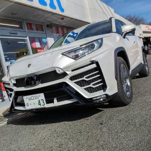 Toyota RAV4 XR51 by Albermo 2020 года 